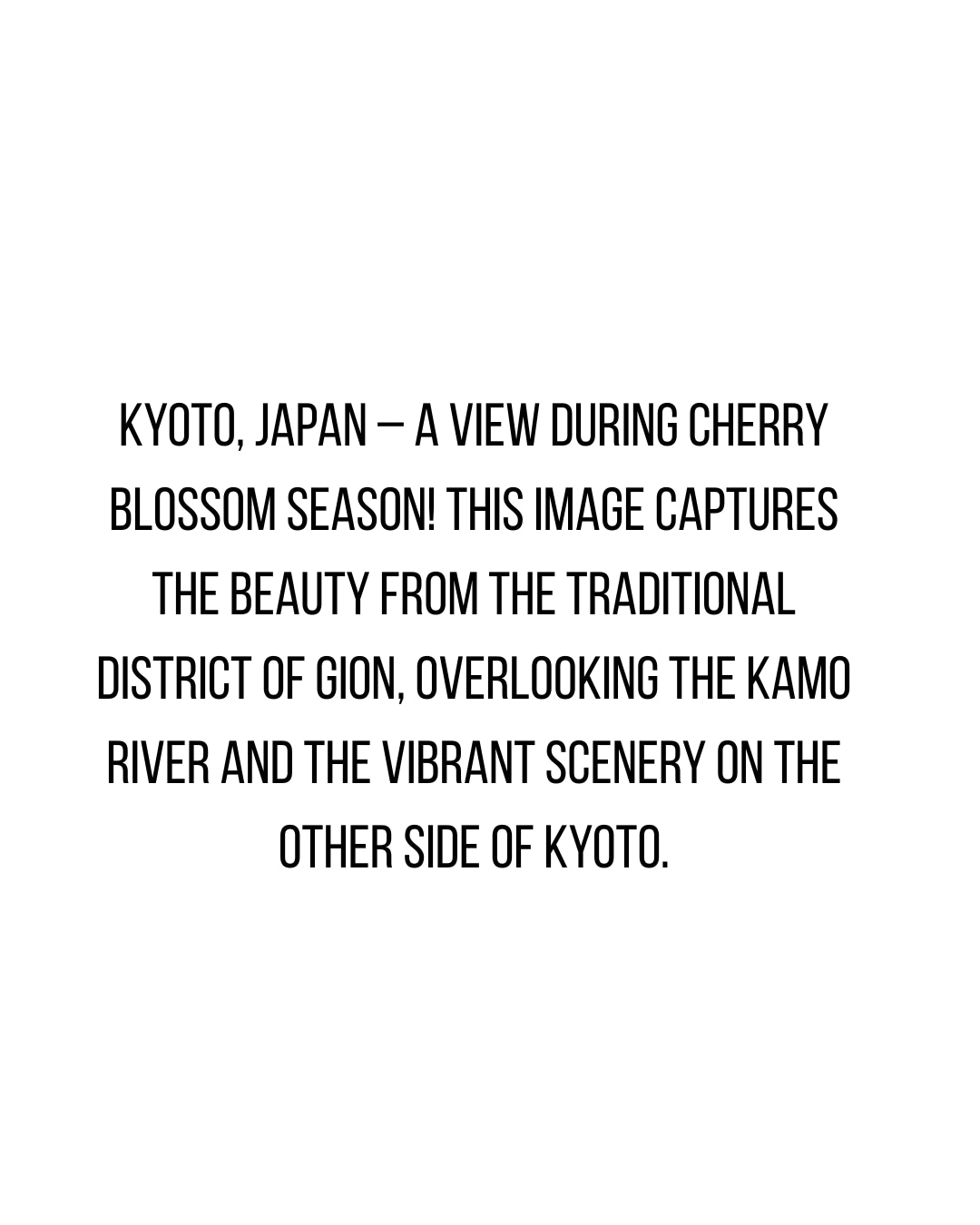 Artwork Kyoto Gion Cherry Blossom